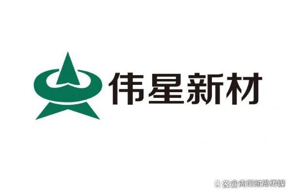 伟星新材标志